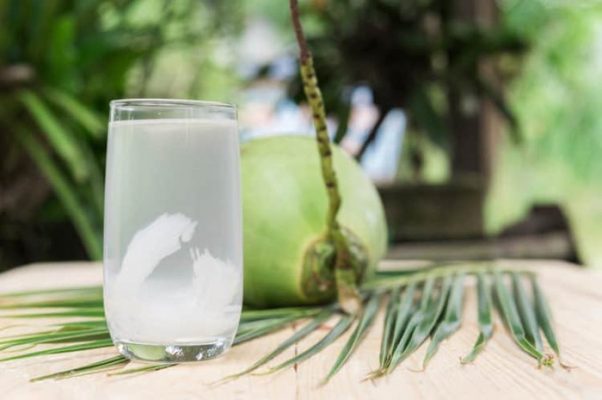 Uống nước dừa hàng ngày có tốt không? Một số lưu ý khi sử dụng nước dừa