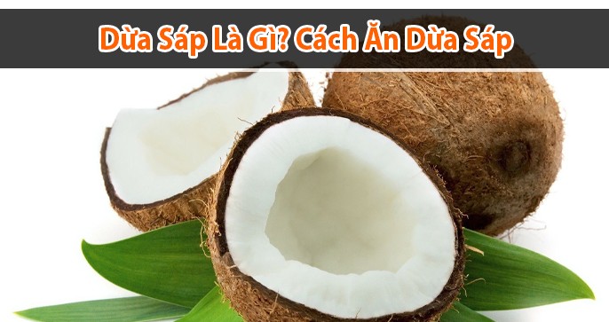 Dừa sáp là dừa gì? Cách ăn dừa sáp đúng chuẩn miền Tây