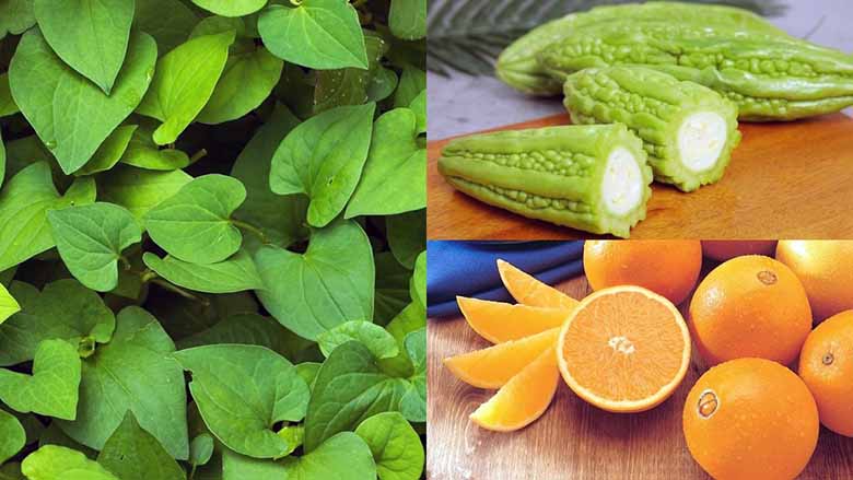 Giải đáp thắc mắc ăn rau diếp cá có tác dụng gì cùng chuyên gia