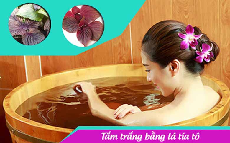 Bật mí việc tắm bằng nước lá tía tô có tác dụng gì?