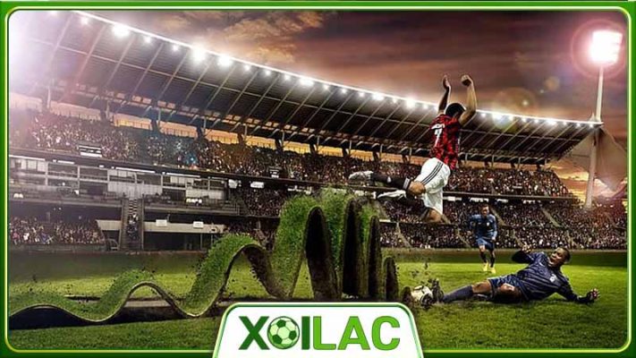 Xoilac TV - Tất tần tật về chính sách và điều khoản