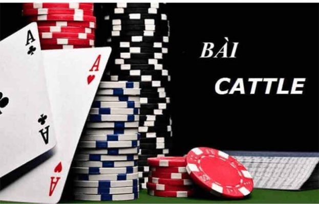 Bài Catte là gì? Cách chơi bài Catte và những lưu ý khi chơi