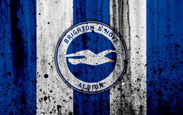 Sức Hút Đằng Sau Biểu Tượng: Ý Nghĩa Logo Brighton & Hove Albion