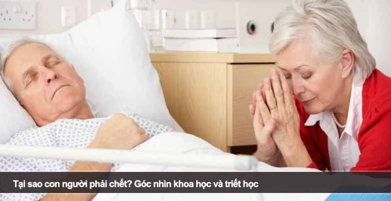 Tại sao con người phải chết? Góc nhìn khoa học và triết học