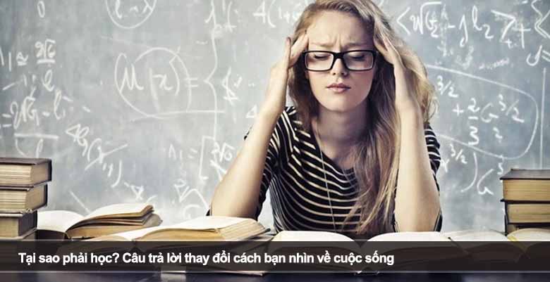 Tại sao phải học? Câu trả lời thay đổi cách bạn nhìn về cuộc sống