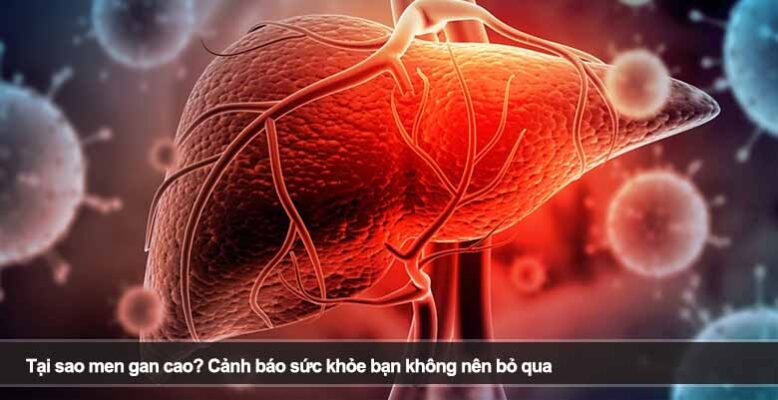 Tại sao men gan cao? Cảnh báo sức khỏe bạn không nên bỏ qua