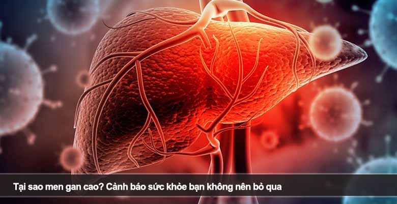 Tại sao men gan cao? Cảnh báo sức khỏe bạn không nên bỏ qua 