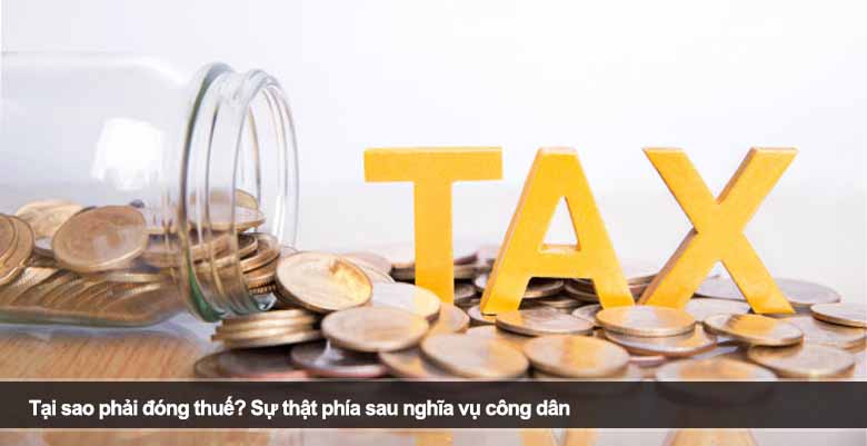 Tại sao phải đóng thuế? Sự thật phía sau nghĩa vụ công dân 